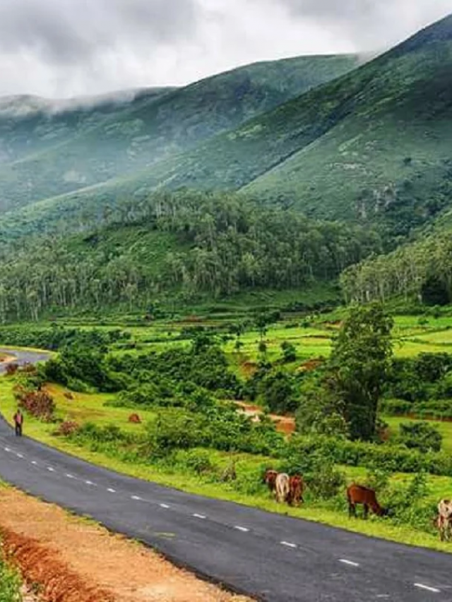 Deomali the highest peak of Odisha
