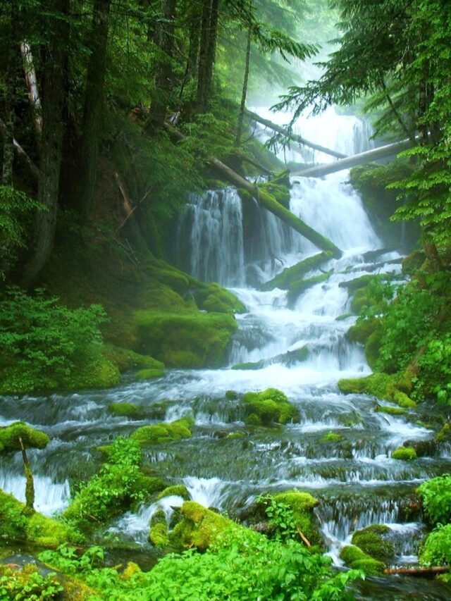 Top 10 Best Tourist Places to Visit in odisha