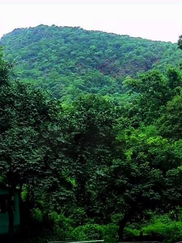 most beautiful gandhamardan hil station